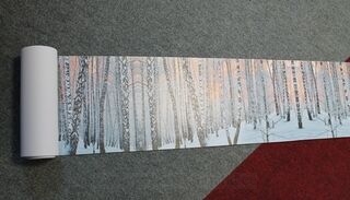 PVC banneri metsä